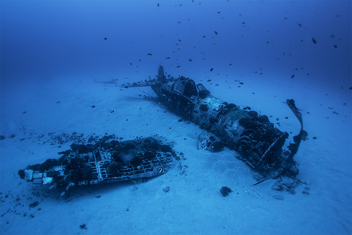 life is a tide, happy end #8.1, usa, 2012 (the pilot survived the forced landing and got rescued in 1948)