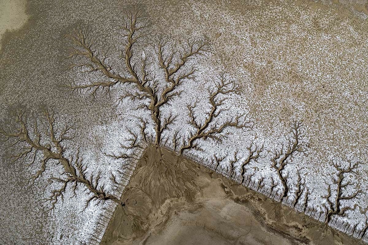 hazardous beauty, leftscape #11, usa, 2017 (ex hazardous waste evaporation pool in californias desert. protected by 3 fences. luckily nature creates beauty even at ugly traces of mankind)