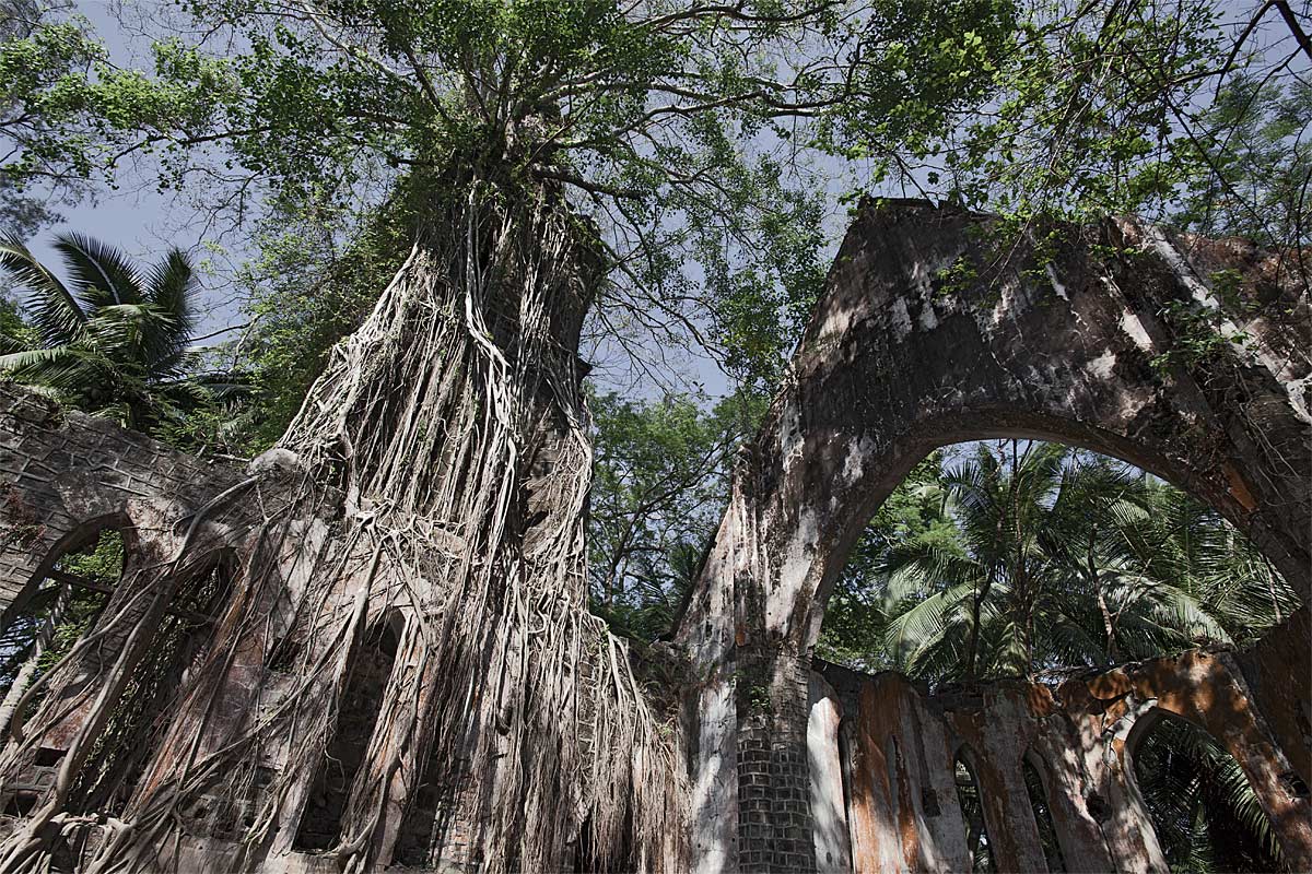 gods of the jungle, faithless #5, india, 2012 (built by the britsh on ross island in the andaman sea it was destroyed by an earthquake in 1941. never rebuilt as the hq was moved to port blair)