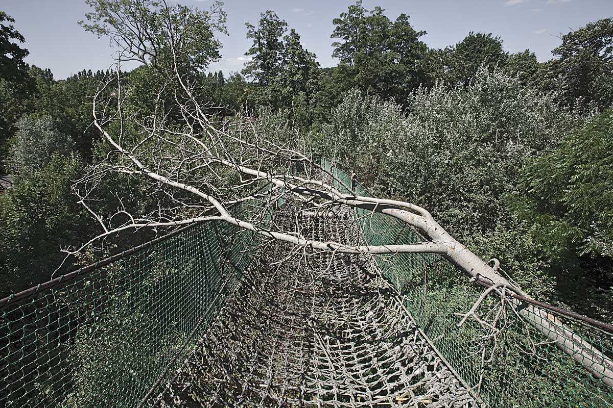 it was a pleasure #24, belgium, 2010 (rope bridge in dadiland that open in 1949 and closed in 2003)