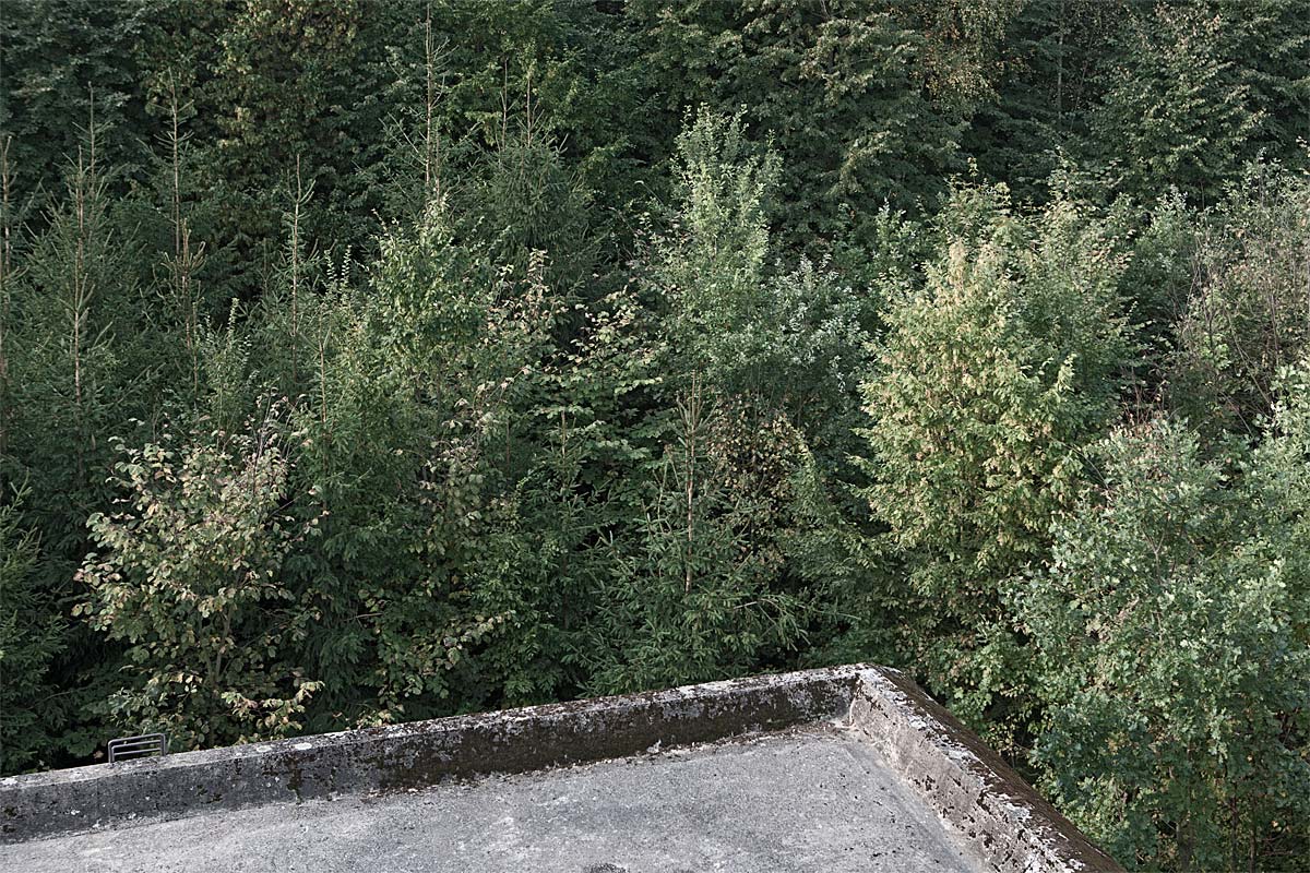 rest in peace #49, ww2 bunker of 'oberkommando des heeres', poland, 2011