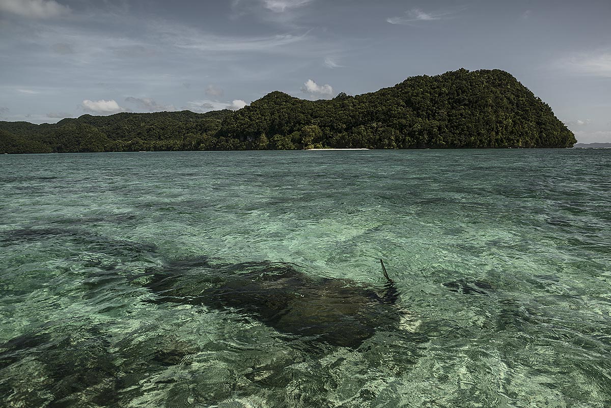 subzero, rest in peace #83, palau, 2015 (jap.zero in shallow water, unknown if the pilot survived)