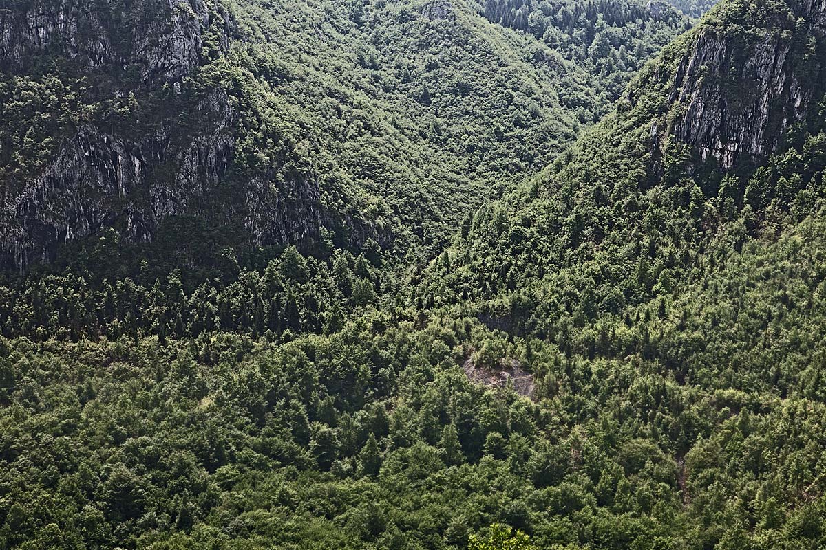 ferdinand express, lost track #22, bosnia herzegovina, 2011 (franz ferdinand travelled on these tracks to sarajevo where he was killed on 28.6.1914 - the beginning of ww1)