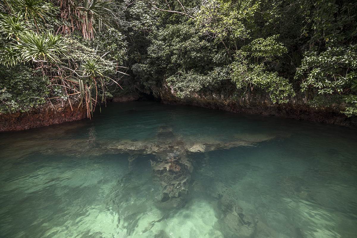 floating shallow, rest in peace  #81, palau, 2015 (japanes 'jake' seaplane hiding under water since 70 years)