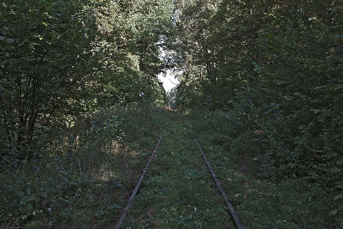 lost track #25, poland, 2011 (station wolfsschanze, hitler's hideout and headquarter during ww2 - today polish territory)